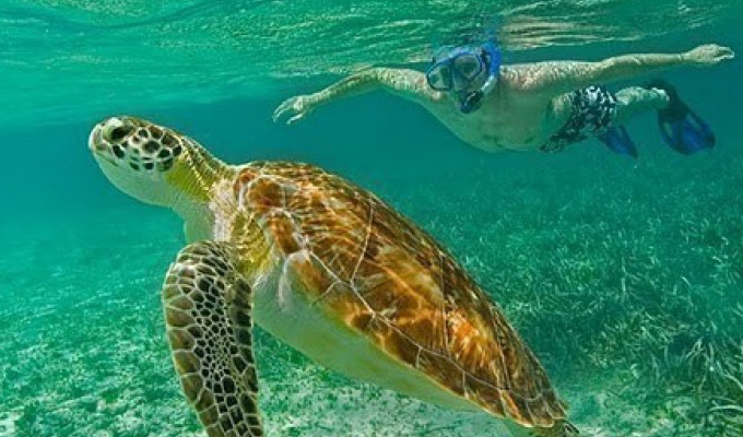 San Pedro Belize Tours